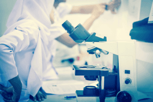 , transmission d'entreprises en France